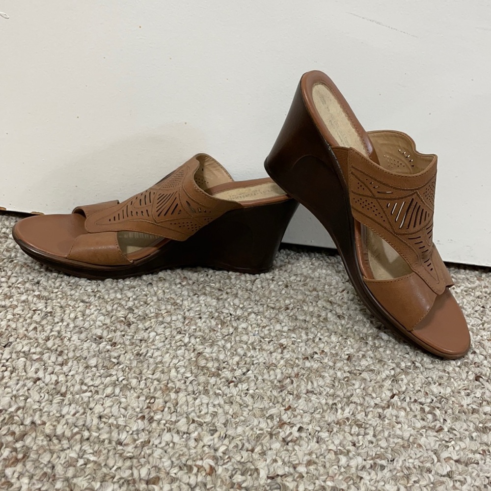 Naturalized Wedge
